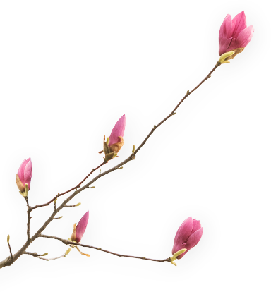 leaf-04.png